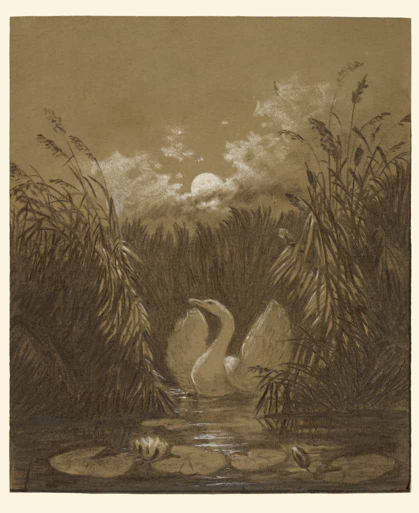 Carl Gustav Carus:A Swan Among the Reeds, by Moonlight,16x12"(A3)Poster