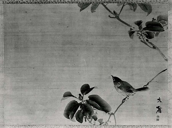 Bird on a Branch-Attributed to Shiokawa Bunrin, Poster Print Wall Art