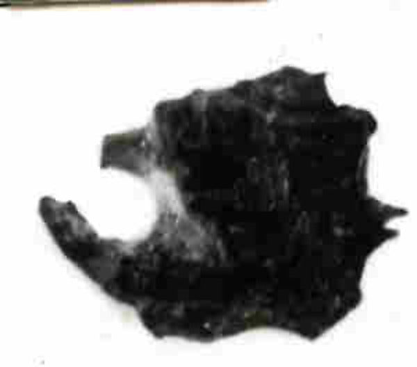 :Coin A.H. 169–70/A.D. 785–86-16x12"(A3) Poster