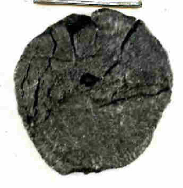 :Coin 786–814-16x12"(A3) Poster