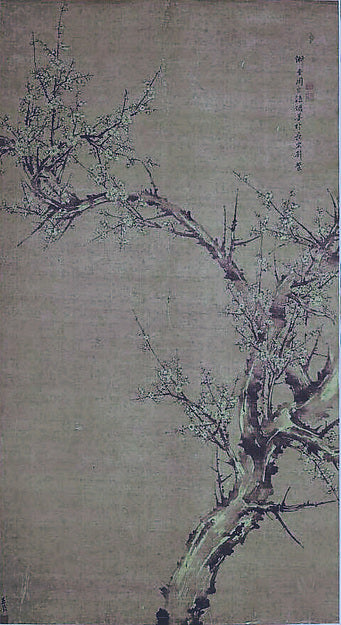 Prunus dated 1532 or 1592-Attributed to Zhou Zonglian ), Poster Print Wall Art