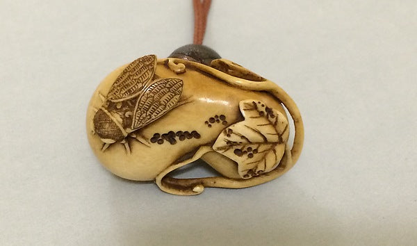 Netsuke in the Shape of a Gourd and Cicada 19th cent, Poster Print Wall Art