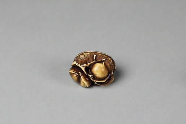 Netsuke of Group of Chestnuts 19th cent, Poster Print Wall Art