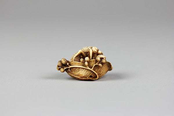 Netsuke of Bee on a Leaf 19th cent, Poster Print