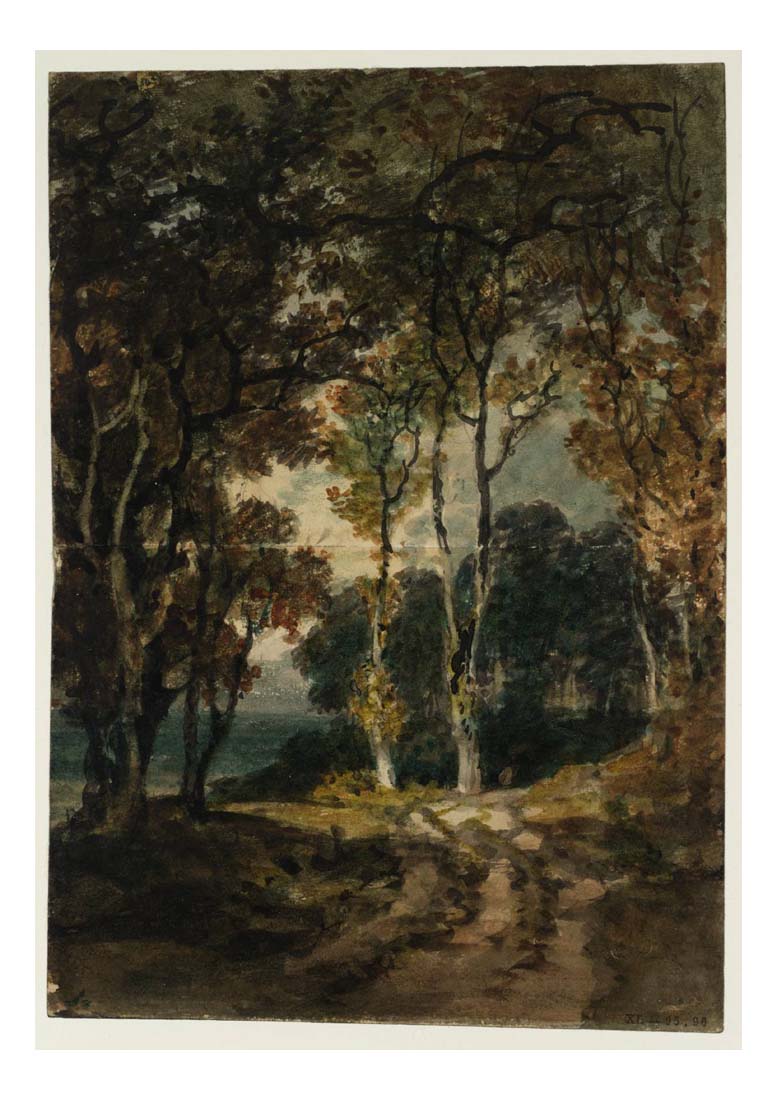 A Road through a Wood, 1798 by John Mallord William Turner RA, 12x8"(A4) Poster