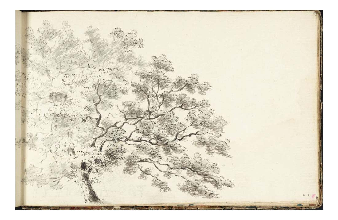 A Tree, with a Line of Trees Beyond, 1789 by John Mallord William Turner RA