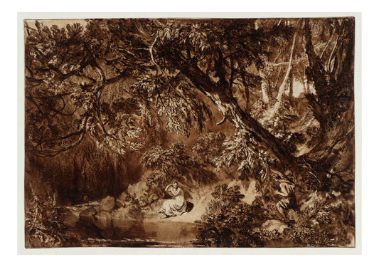 Aesacus and Hesperie, 1817-18 by John Mallord William Turner RA