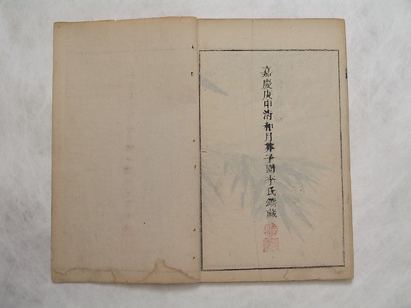 ,The Mustard Seed Garden Painting Manual,16x12"(A3) Poster