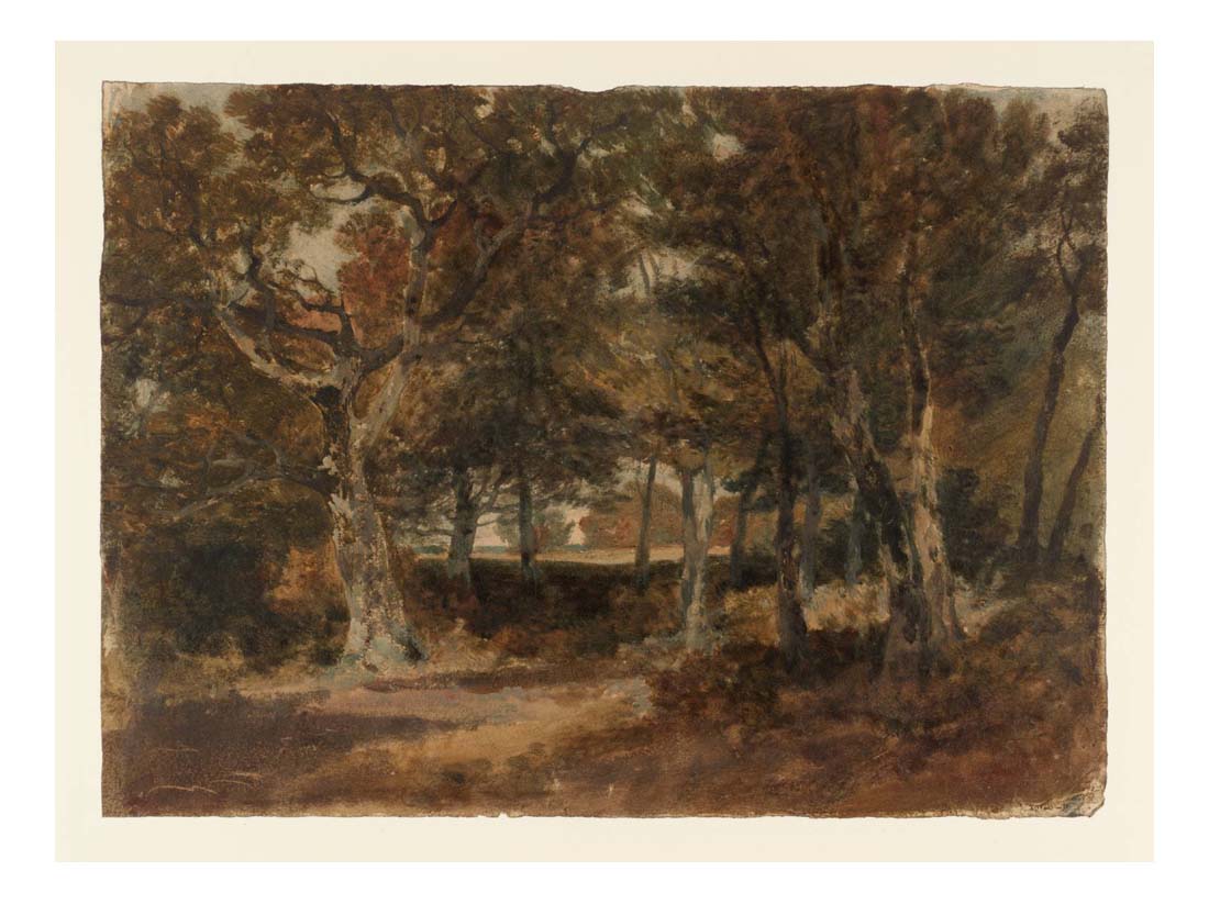 Chevening Park, 1801 by John Mallord William Turner RA, 12x8"(A4) Poster