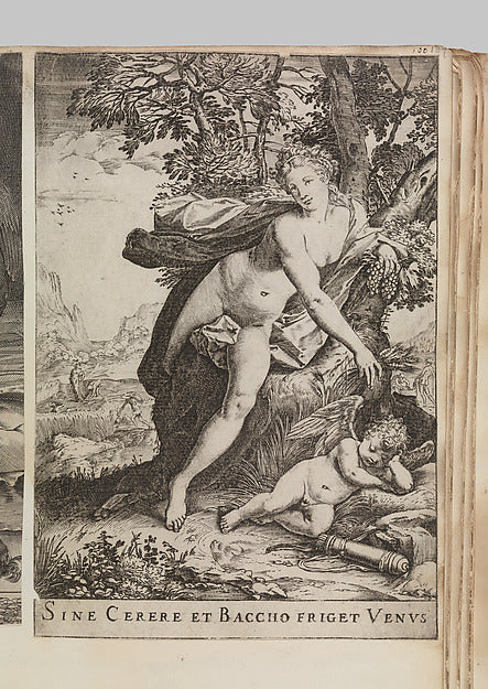 Sine Cerere et Baccho Friget Venus 1599-Agostino Carracci, Poster Print Wall Art