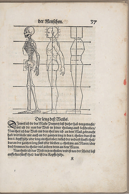 Des Circkels unnd Richtscheyts auch der Perspectiva und Propo, Poster Print