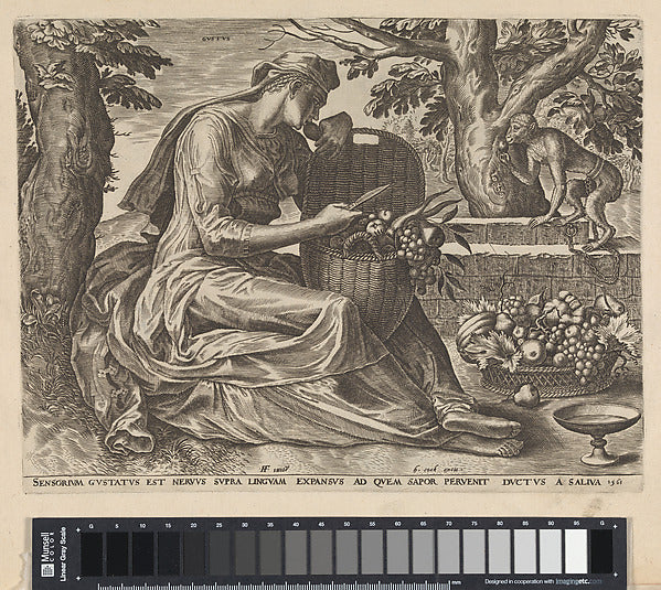 Cornelis Cort , After Frans Floris I:Taste from The Five Sen-16x12"(A3) Poster