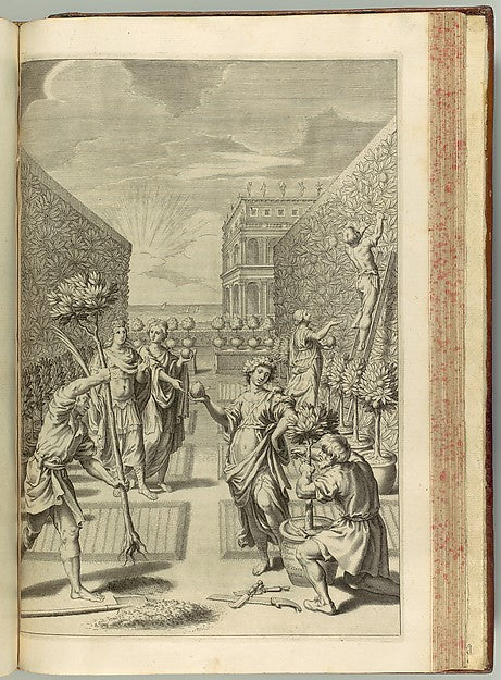 Hesperides sive de Malorum Aureorum cultura et usu. Libri Quat, Poster Print