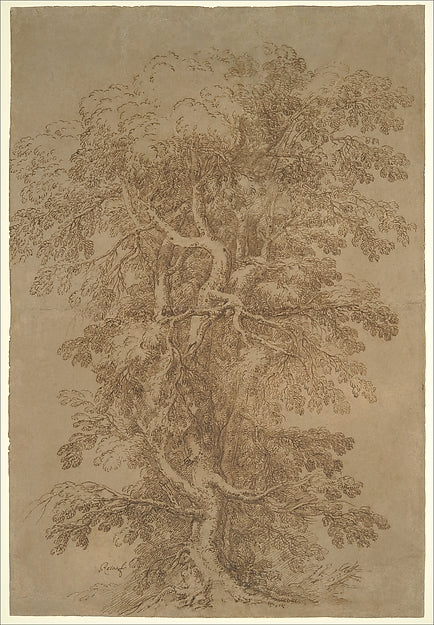 A Large Tree 1615–73-Salvator Rosa 1615–1673 Rome),16x12"(A3) Poster
