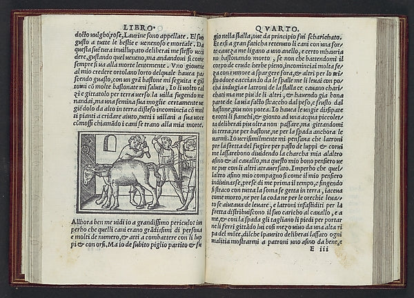 Apulegio volgare diuiso in undeci libri novamente stampato &, Poster Print Wall Art