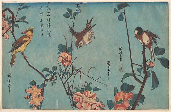 Titmouse and Camellias Sparrow and Wild Roses and Black-na, Poster Print