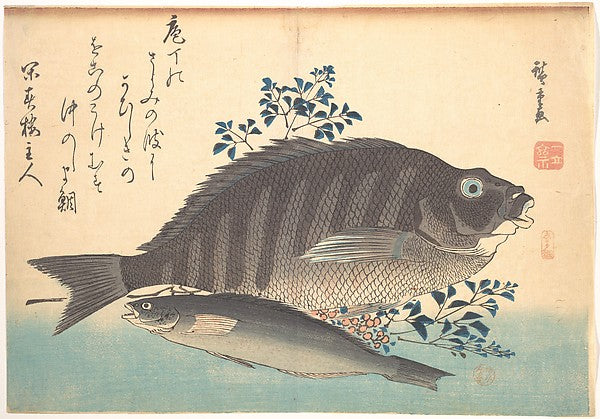 Shimadai and Ainame Fish from the series Uozukushi 1840s-Uta, Poster Print