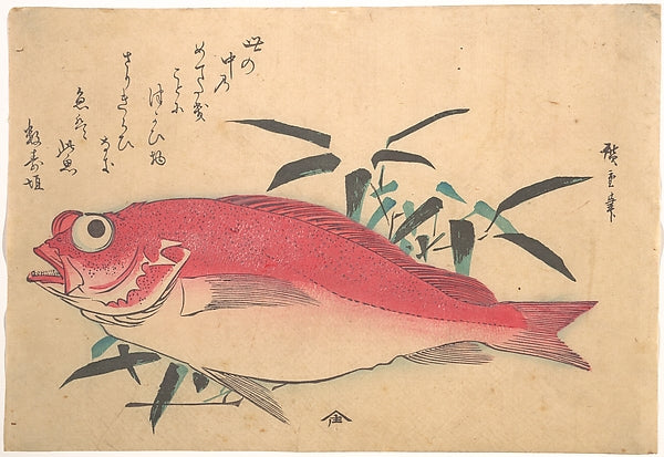 ,Medetai Fush and Sasaki Bamboo, from the series Uozukushi,16x12"(A3) Poster