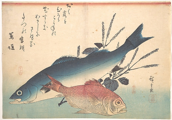 ,Suzuki and Kinmedai Fish from the series Uozukus,16x12"(A3) Poster