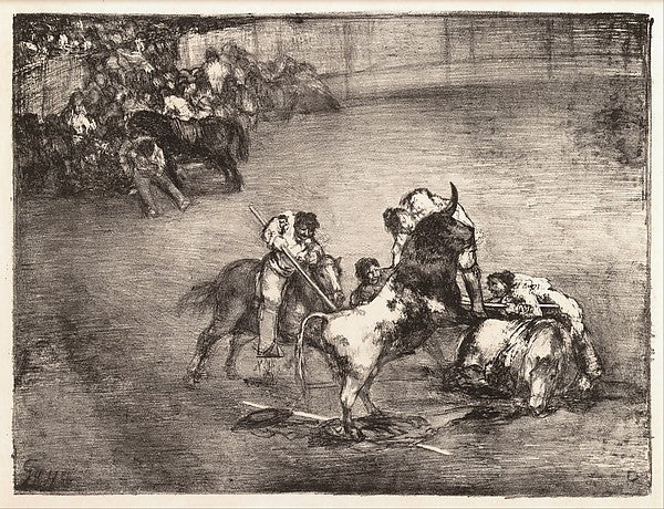 A picador caught by a bull from the 'Bulls of Bordeaux' 1825,16x12"(A3) Poster