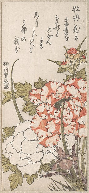 Peonies and Iris 18th–19th cent-Yanagawa Shigemasa, Poster Print Wall Art