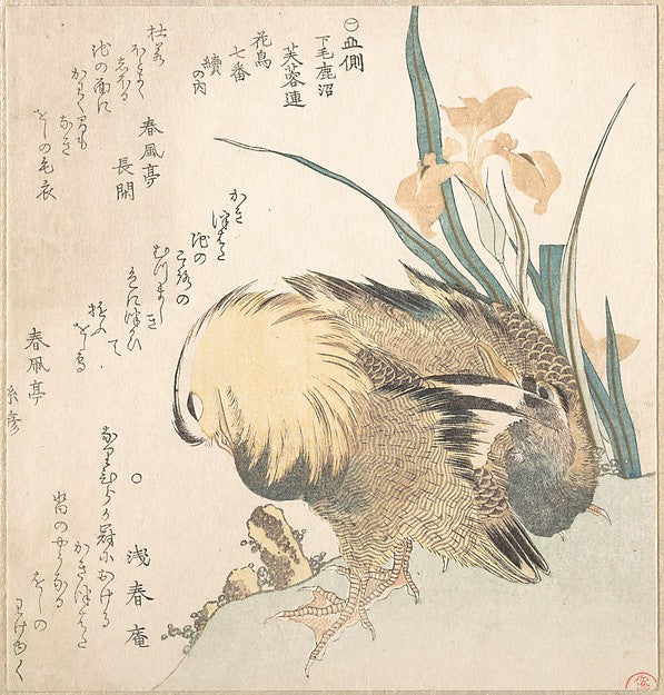 Pair of Mandarin Ducks and Iris Flowers-Kubo Shunman, Poster Print Wall Art