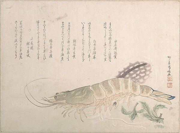 Shrimp and Cuttlefish-Ry?ry?kyo Shinsai, Poster Print Wall Art