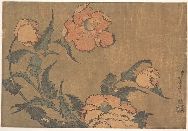 Poppies in the Wind 1820–34-Katsushika Hokusai 1760–1849 Toky, Poster Print Wall Art