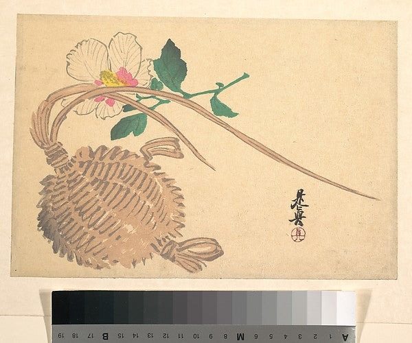 Straw Basket for Fish and Mokuge Flower c1875-Shibata Zeshin, Poster Print