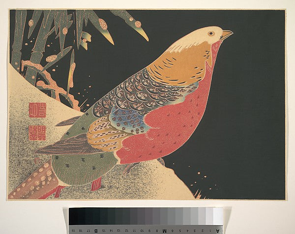 Golden Pheasant in the Snow c1900-It? Jakuch?, Poster Print
