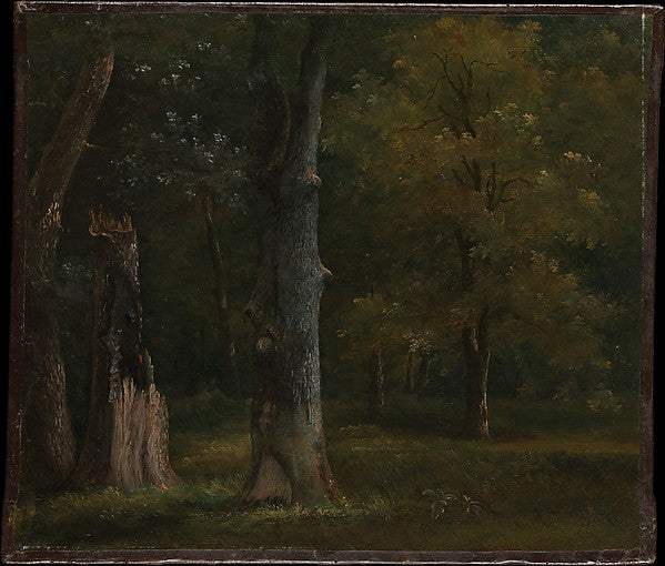 Achille-Etna Michallon:Trees in the Bois de Boulogne Paris c-16x12"(A3) Poster