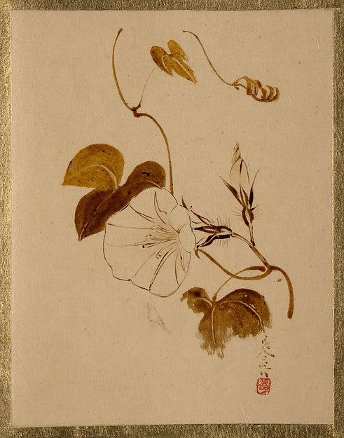 Morning Glory-Shibata Zeshin, Poster Print