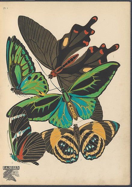 Papillons - vingt planches en phototypie coloriées au patron do, Poster Print Wall Art