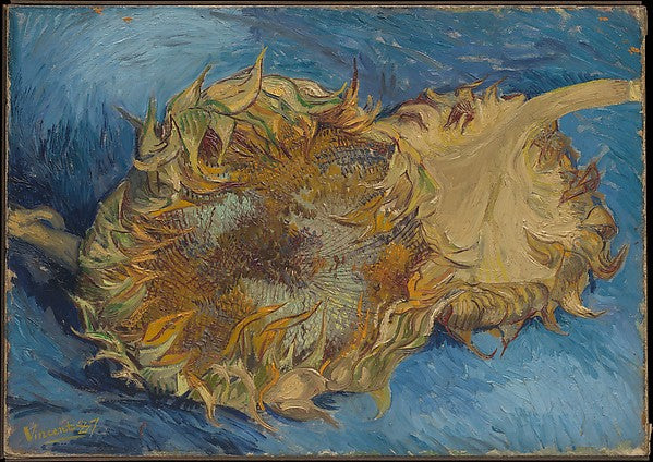Vincent van Gogh:Sunflowers 1887-16x12