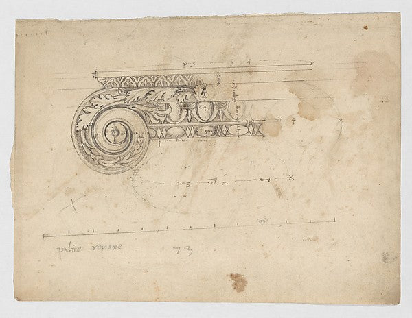 S. Maria in Trastevere Ionic capital volute side elevation, Poster Print