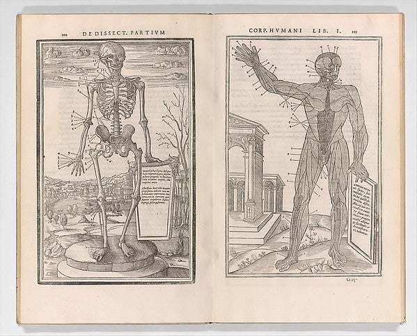 De dissectione partium corporis humani libri tres 1545-Possibl, Poster Print