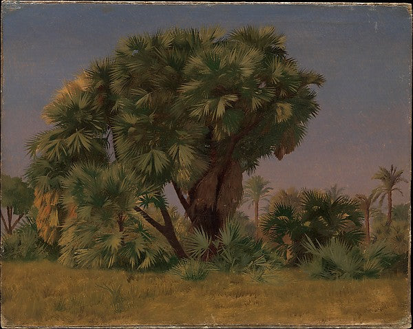 Jean-Léon Gérôme:Study of Palm Trees probably 1868-16x12"(A3) Poster
