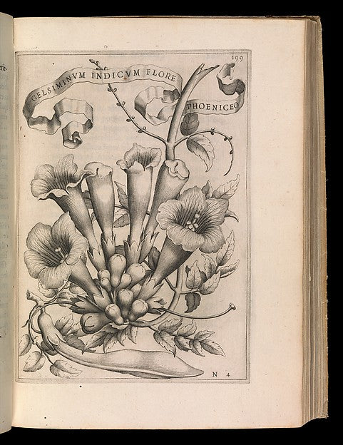 De Florum Cultura. Rome 1633 1633-Giovanni Battista Ferrari, Poster Print Wall Art