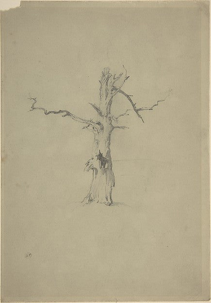 Study of a Dead Tree 1840–99-Myles Birket Foster, Poster Print Wall Art