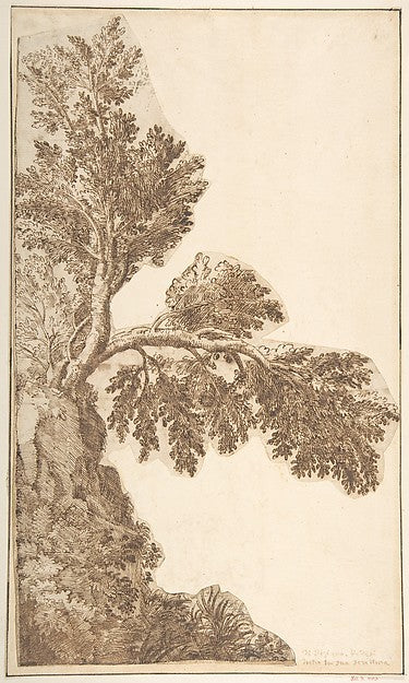 Trees 16th cent-Anonymous, Italian, Venetian, 15th to 16th cen,16x12"(A3) Poster