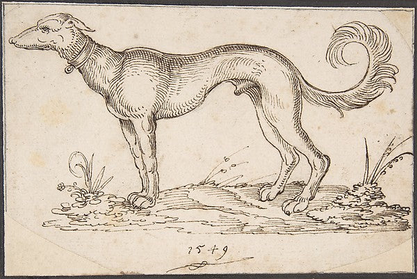 A Greyhound in Profile Facing Left 1549-Virgil Solis 1514–156,16x12"(A3)Poster
