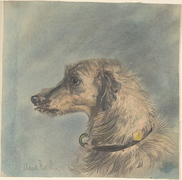 Head of a Scottish Deerhound after Landseer's "Hafed" late 19, Poster Print Wall Art
