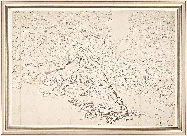 Study of trees 1780–1827-Thomas Rowlandson, Poster Print Wall Art