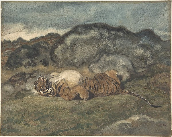 Tiger Rolling on Its Back 1810–75-Antoine-Louis Barye, Poster Print Wall Art