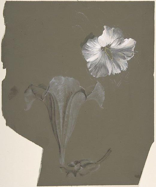 A Study of Two White Lilies n.d.-Antoine Berjon,16x12"(A3) Poster