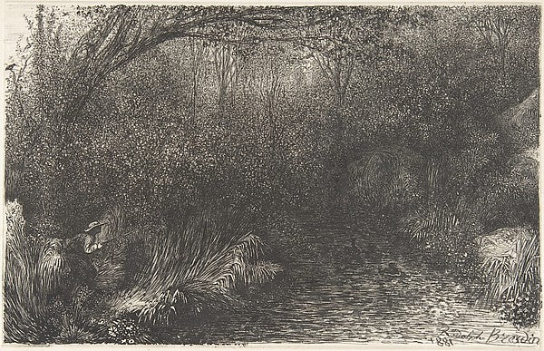 The Duck Hunt 1881-Rodolphe Bresdin, Poster Print