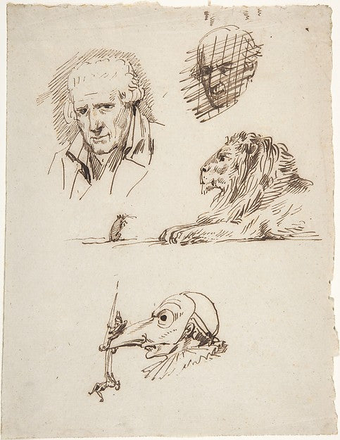 Sheet of Studies: Three Male Heads a Lion and a Mouse 1800–1,16x12"(A3) Poster