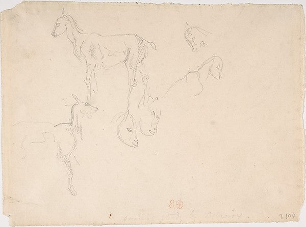 Studies of a Goat 1798–1863-Eugène Delacroix,16x12"(A3) Poster