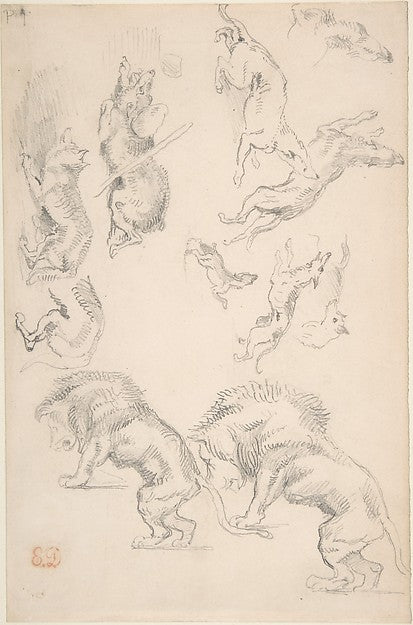 Studies of Animals 1810–63-Eugène Delacroix,16x12"(A3) Poster