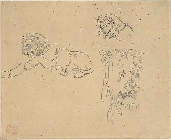 Three Studies of a Lion 1815–63-Eugène Delacroix, Poster Print Wall Art